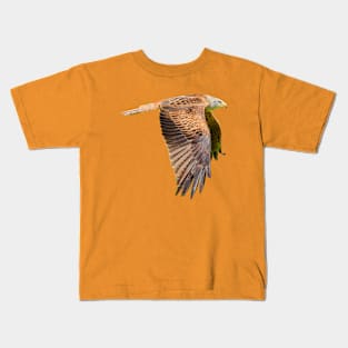 Red Kite in flight Kids T-Shirt